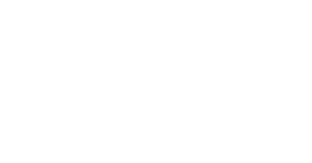 1991 A Single, Connected World